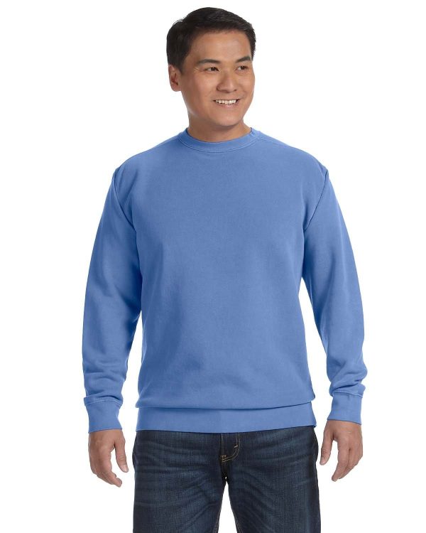 Comfort Colors Garment-Dyed Crewneck Sweatshirt | Flo Blue Online now